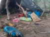 बहराइच : गांव में हाथियों के झुंड ने मचाया उत्पात, मकान गिराया