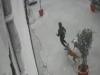 Dog Attack: गाजियाबाद में कुत्तों ने 11 साल की लड़की पर किया हमला   