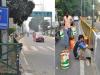 मुरादाबाद : कोहरे में जिंदगी बचाने का अभियान सुस्त, यातायात माह के नाम पर की जा रही डिवाइडरों की रंगाई