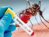 बरेली: जिले के पांच ब्लॉकों में फैला डेंगू, संवेदनशील किया घोषित