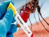 बरेली: डेंगू के मामले 400 के पार, अब स्कूलों में चलेगा लार्वा सर्च अभियान