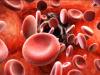 बरेली: थैलेसीमिया बीमारी है गंभीर, छह माह में खून चढ़ाना अनिवार्य