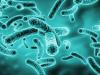पांच तरह के जीवाणुओं की वजह से भारत में हुई 6.8 लाख मौत, अध्ययन में खुलासा