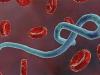 Ebola Case: पूर्वी युगांडा में तेजी से फैल रहा है इबोला वायरस, 135 मामले दर्ज