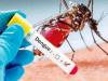 हल्द्वानी: डेंगू के पांच नए मरीज मिले, 160 पहुंची संख्या