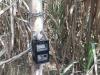खटीमा: सुरई रेंज में वन्य जीवों की सुरक्षा के लिए लगे ट्रैप कैमरे चुराए