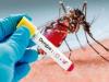 हल्द्वानी: ठंड में डेंगू ने जमाए पैर, डंक कर रहा बीमार