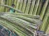 बाजपुर: किसानों ने बाहरी क्षेत्र के गन्ने की खरीद का किया विरोध