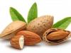 Benefits of almond : ठंड में बादाम खाने के फायदे जान हो जाएंगे हैरान, जानें सेवन करने के पांच सहीं तरीके 