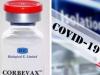 कोविशील्ड टीका लगवाने लोगों में कोर्बेवैक्स की बूस्टर खुराक सफल साबित हुई: अध्ययन