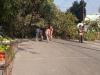 हल्द्वानी: चोरगलिया रोड पर टूटी पेड़ की टहनी, बचा कार सवार परिवार