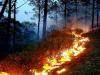 गरमपानी: जंगलों को आग से बचाने को उठाए जाएंगे विशेष कदम