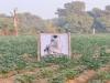 हरदोई : लूंगरों की फोटो देखकर भाग रहे बंदर, किसानों का नया एक्सपेरिमेंट