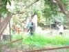 बलिया : मकान में शवों को छिपाने के लिए लगा दिए गए पेड़