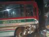 जीटी रोड पर ट्रक व रोडवेज बस में भिड़ंत एक की मौत,  दस घायल