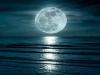 Blue Planet II: 'यह कहना गलत है कि हम गहरे समुद्र की तुलना में चंद्रमा के बारे में अधिक जानते हैं' 