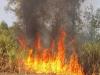 हरदोई: आग लगने से गन्ने की तीन एकड़ फसल जल कर राख