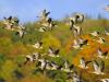 हल्द्वानी: नेपाल से यूपी बॉर्डर तक ‘उड़ती चिड़िया’ गिनेगा जंगलात