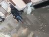 बरेली : बिन बारिश गुलाबनगर गौरी शंकर मंदिर जाने वाले मार्ग पर जलभराव, राहगीर परेशान