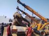 हल्दूचौड़: मोटाहल्दू में हाईटेंशन लाइन की चपेट में आने से हाथी की मौत 