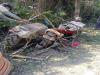 सुलतानपुर सड़क हादसा: ट्रैक्टर और पिकअप में जोरदार टक्कर, दो की मौत 