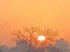Kanpur Weather Today : फरवरी के पहले सप्ताह में पारा 30 के पार, धूप निकलने से दिन में होने लगी गर्मी