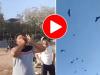 VIDEO : कौओं का राजा है यह शख्स, एक ही आवाज पर आसमान में उमड़ जाता पक्षियों का सैलाब