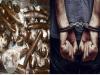 हल्द्वानी: चिकनशॉप की आड़ में चरस बेचने वाला तस्कर गिरफ्तार