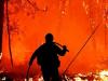 हल्द्वानी: आधी रात धधका जंगल, बनभूलपुरा में दुकान जलकर राख