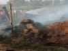 रामपुर: मुर्गी दाने के गोदाम में आग लगने से लाखों का नुकसान, मजदूरों में मचा हड़कंप 