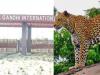 हल्द्वानीः जंगली जानवरों के डर से इंदिरा गांधी अंतर्राष्ट्रीय स्टेडियम की सुरक्षा में लगे कर्मी भयभीत 