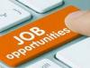 Jobs: यहां इन पदों पर निकलीं बंपर नौकरियां, जानें सैलरी और आवदेन प्रक्रिया