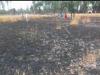 रायबरेली: गेहूं के खेत में लगी आग, दो बीघा फसल हुई राख