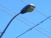 बरेली : कैंफर स्टेट कॉलोनी के स्ट्रीट लाइट की सप्लाई विद्युत विभाग ने काटी, अंधेरे में डूबीं सड़कें