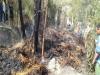 अयोध्या: मच्छर भगाने को धुआं किया तो लगी आग