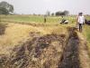 अयोध्या: आग लगने से दो किसानों की चार बीघा गेहूं की फसल जली