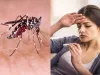 बरेली: संवेदनशील ब्लॉकों में मलेरिया से बचाव को सर्वे शुरू