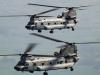 अमेरिकी सेना ने Helicopter Crash के बाद विमानों की उड़ानों पर लगाई रोक 