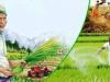 रुद्रपुर: कृषक महोत्सव खरीफ 24 से, आयोजन की तैयारियां पूरी