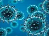देश में कोरोना वायरस संक्रमण के उपचाराधीन मरीजों की संख्या घटकर 61,013 हुई 