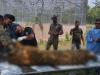 रामनगर: कार्बेट के झिरना में घायल बाघ ने दम तोड़ा,  बाघ की आयु थी करीब 5 वर्ष 