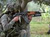 जम्मू-कश्मीर: राजौरी में सुरक्षा बलों ने एक आतंकवादी को मार गिराया