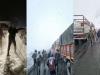 हिमाचल प्रदेश: बर्फबारी से मनाली-लेह और दारचा-शिंकुला दर्रा बंद