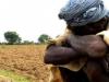 बरेली: न बारिश न जागरूकता, सूख रही धरा की कोख