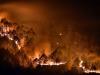 Forest Fire:वनाग्नि ने कुमाऊं के 12 जंगलों को लिया चपेट में, 13 हेक्टेयर क्षेत्र हुआ क्षतिग्रस्त   