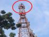 मुरादाबाद : पत्नी के मायके से लौटते ही मोबाइल टावर पर चढ़ा सिरफिरा युवक 