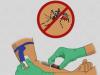 हल्द्वानी: जिले में चार साल बाद डेंगू के सर्वाधिक मामले