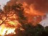 बरेली: अशोका फोम फैक्ट्री में लगी आग में 4 शव हुए बरामद, रेस्क्यू जारी