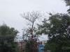 Lucknow Weather: लखनऊ में बारिश ने गर्मी और लू से लोगों को दी राहत