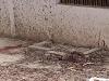 Kanpur Breaking News : कब्रिस्तान में महिला की ईंट-पत्थर से कूच कर हत्या